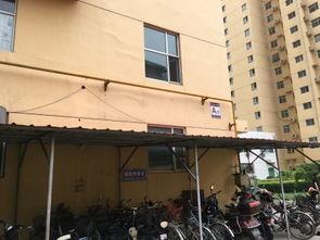 克拉公馆吃瓜,揭秘网红美食背后的吃瓜故事